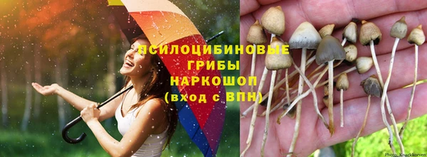 каннабис Вязьма